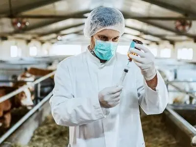 2 میلیون و 951 هزار رأس دام در استان مرکزی ایمن‌سازی شدند