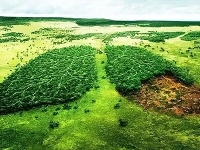 تبدیل بیابان به جنگل در استان فارس + فیلم