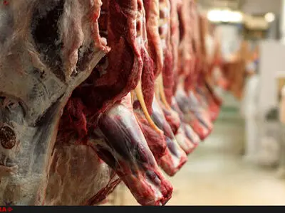 واردات گوشت استرالیایی نیاز داخلی را برآورده می‌کند/ بالاترین قیمت گوشت وارداتی به کشور 33 هزار تومان است