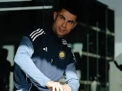 ویدئو: مروری بر گل‌های فوق ستاره پرتقالی