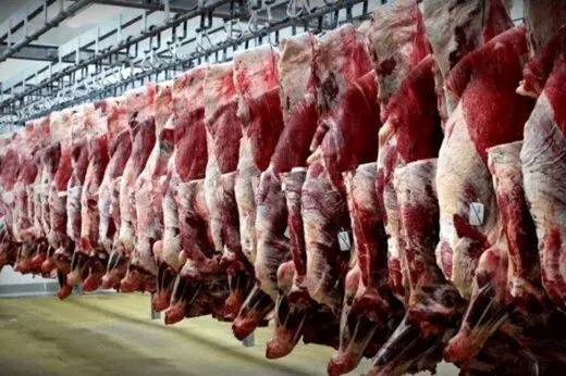 ریزش شدید قیمت لاشه گوسفندی/ حجم قاچاق دام به کشورهای حاشیه خلیج فارس بالاست