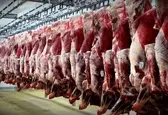 تولید قراردادی گوشت قرمز عشایر در دستور کار است