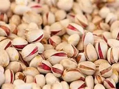 بورس کالا می‌تواند باعث بین‌المللی شدن تجارت پسته شود