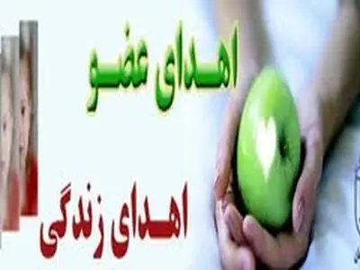 انجام نهمین عمل جراحی پیوند کبد در اصفهان