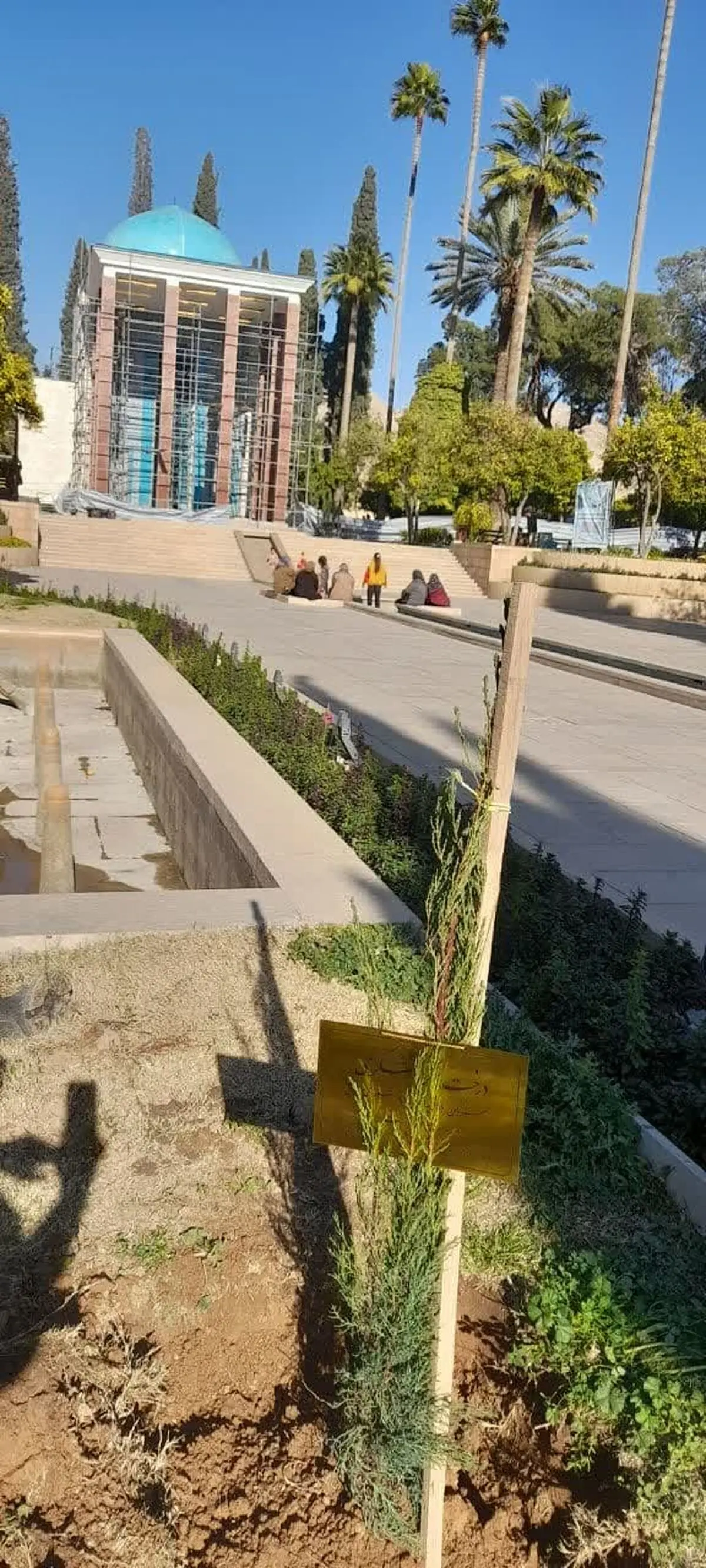 کاشت درخت گردشگری و ۵۰ نهال در مجموعه فرهنگی سعدی 