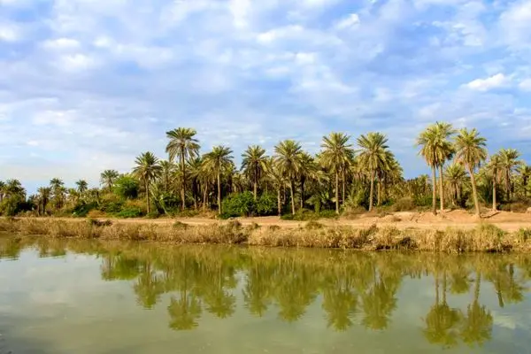 تجربه زمستانی متفاوت در منطقه آزاد اروند