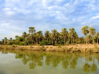 تجربه زمستانی متفاوت در منطقه آزاد اروند