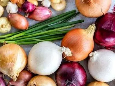پیاز قرمز یا سفید؛ کدام مفیدتر است؟