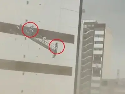 طوفان آمد، مثل برگ افتادند و مُردند!