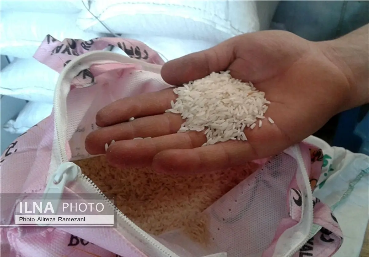 کشف محموله 500 تنی برنج تاریخ مصرف گذشته در البرز