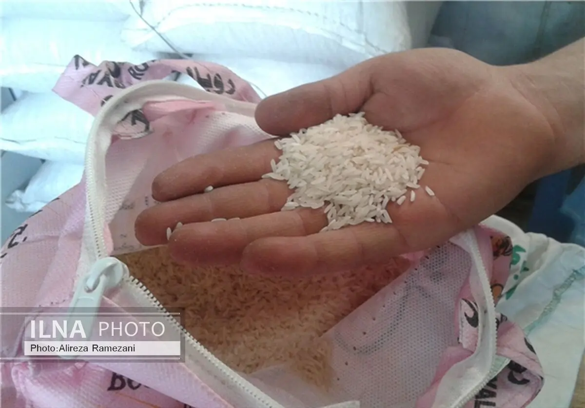 کشف محموله 500 تنی برنج تاریخ مصرف گذشته در البرز