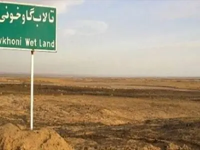 ۹۹ درصد سطح تالاب گاوخونی خشک است