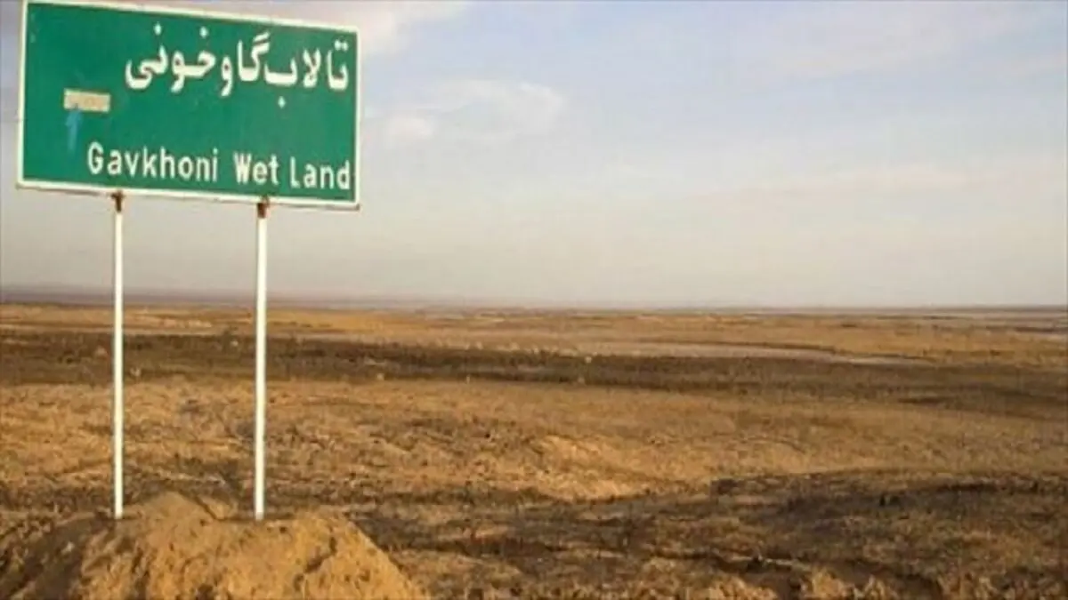 ۹۹ درصد سطح تالاب گاوخونی خشک است