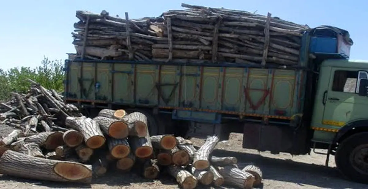 حمل چوب منوط به اخذ مجوز از سوی منابع طبیعی است