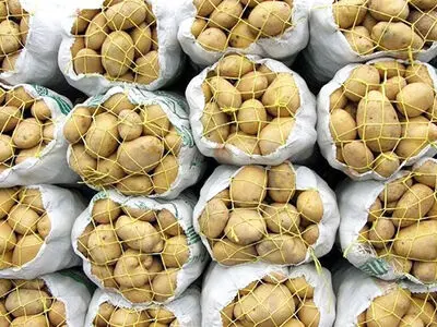 کاهش قیمت سیب‌زمینی در بازارهای میوه و تره‌بار؛ به زودی
