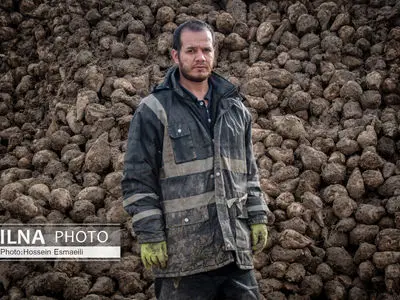 سرنوشت حقوق و قرارداد کارگران در زمان بحران و تعطیلی کارگاه چه می‌شود؟