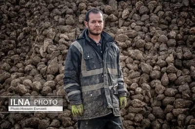 کارگران سال گذشته را چگونه گذراندند؟/ در انتظار حمایت دولت