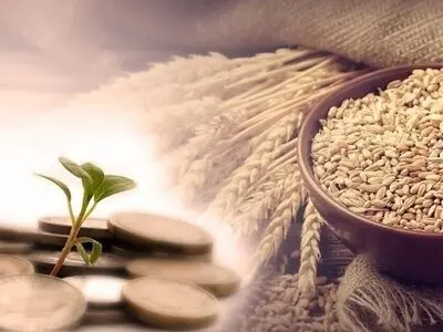  ۶ مرجع تقلید مبلغ فطریه را چقدر اعلام کردند + عکس 