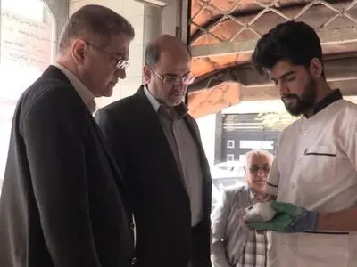 بازدید میدانی معاون اقتصادی استاندار البرز و مدیرکل غله از نانوایی های کرج