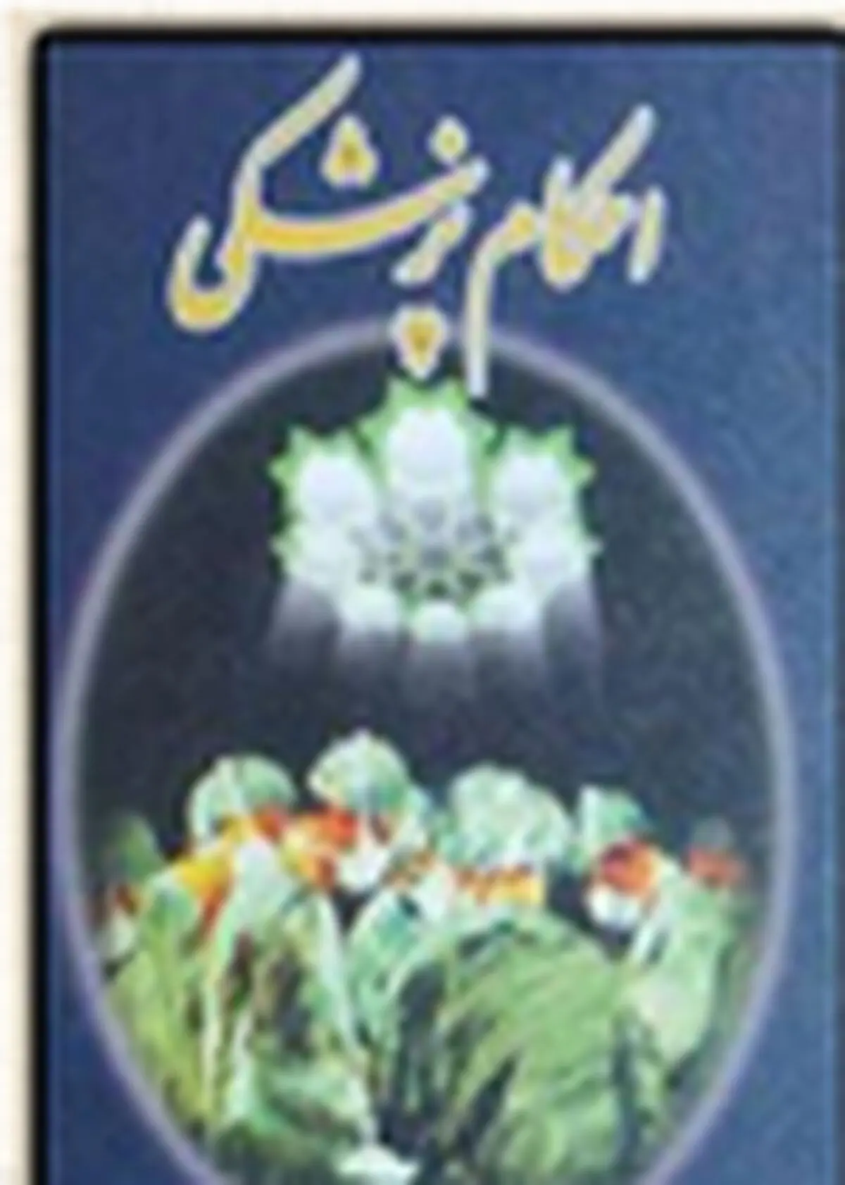 جامعه دانشگاهی نیازمند آگاهی از احکام نوپیدای پزشکی است