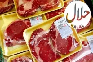 تولید گوشت حلال غیرحیوانی در کشور/ سهم ۲ درصدی ایران از بازار ۶۰۰۰میلیاردی محصولات حلال