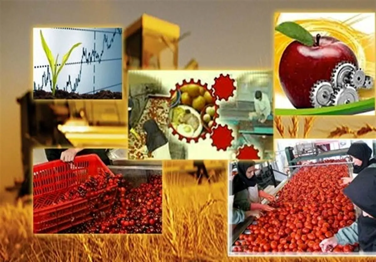 بهره‌برداری از ۲۰۵ طرح صنایع تبدیلی و تکمیلی بخش کشاورزی کشور در هفته دولت