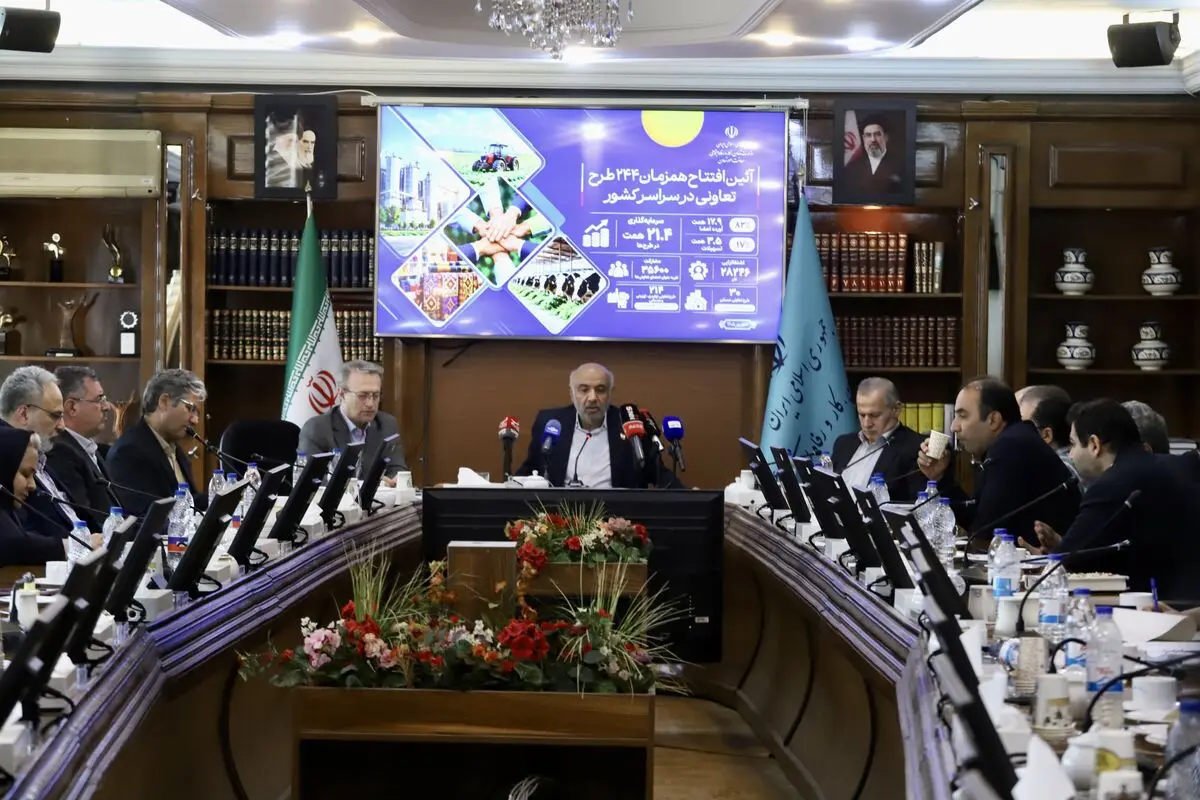 توسعه شبکه‌سازی تعاونی‌ها را با جدیت دنبال می‌کنیم

