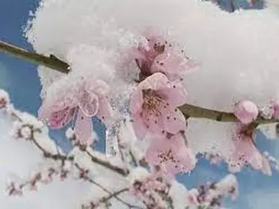 بارش 70 سانتی‌متری برف بهاری در استان مرکزی 