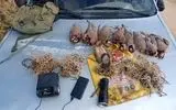 دستگیری شکارچیان غیرمجاز کبک در شهرستان طارم