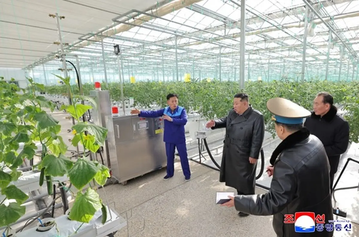 DPR Korean youths strengthened by patriotic activities
