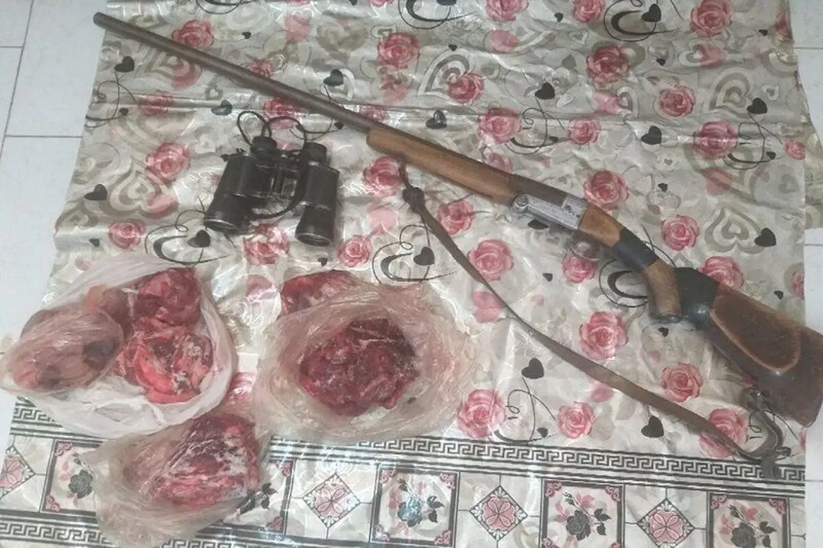دستگیری شکارچی کل وحشی در طارم سفلی 