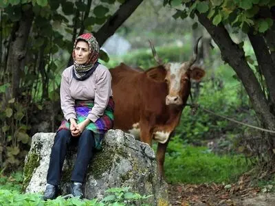 «خانه‌ای در مه» به پرتغال رفت