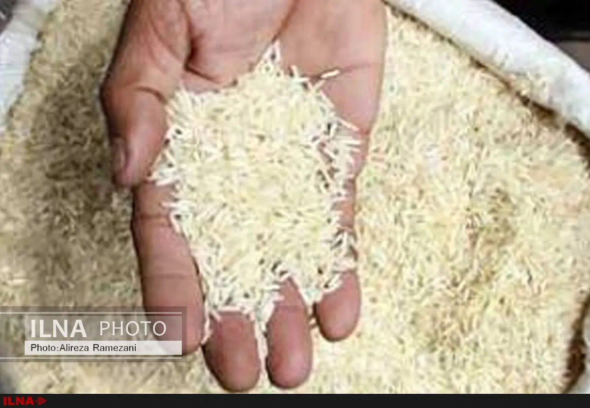 خروج رقم قابل توجه ارز با ارزش‌گذاری غیرمنطقی برنج‌های وارداتی