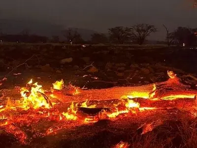 آتش سوزی "سردره" پاوه دو مصدوم به جا گذاشت