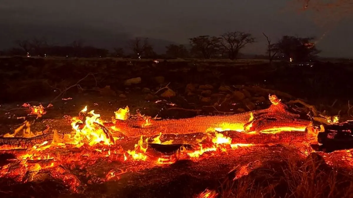 آتش سوزی "سردره" پاوه دو مصدوم به جا گذاشت