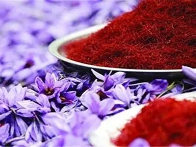 ایران تصدر الزعفران لـ 55 بلدا