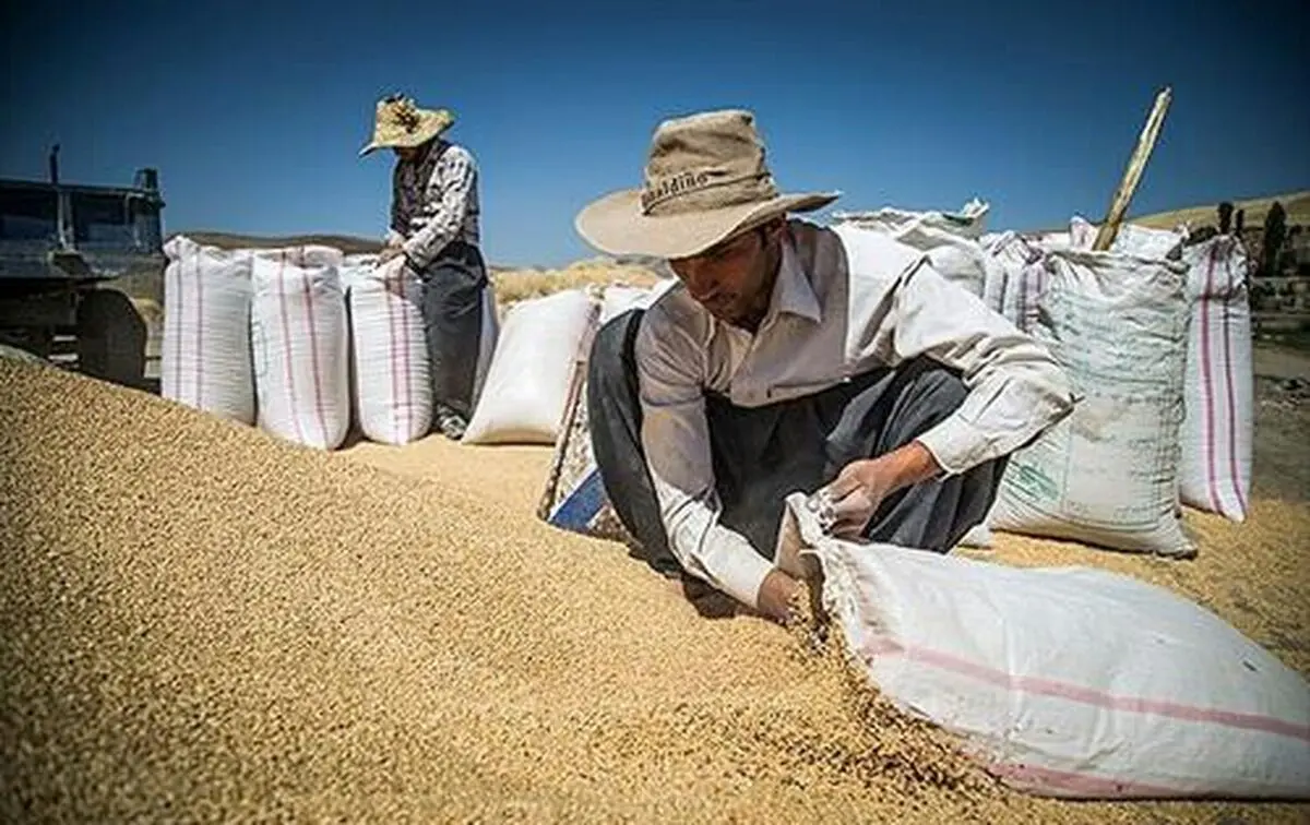 پرداخت ۱۶ میلیارد تومان زکات توسط کردستانی‌ها 