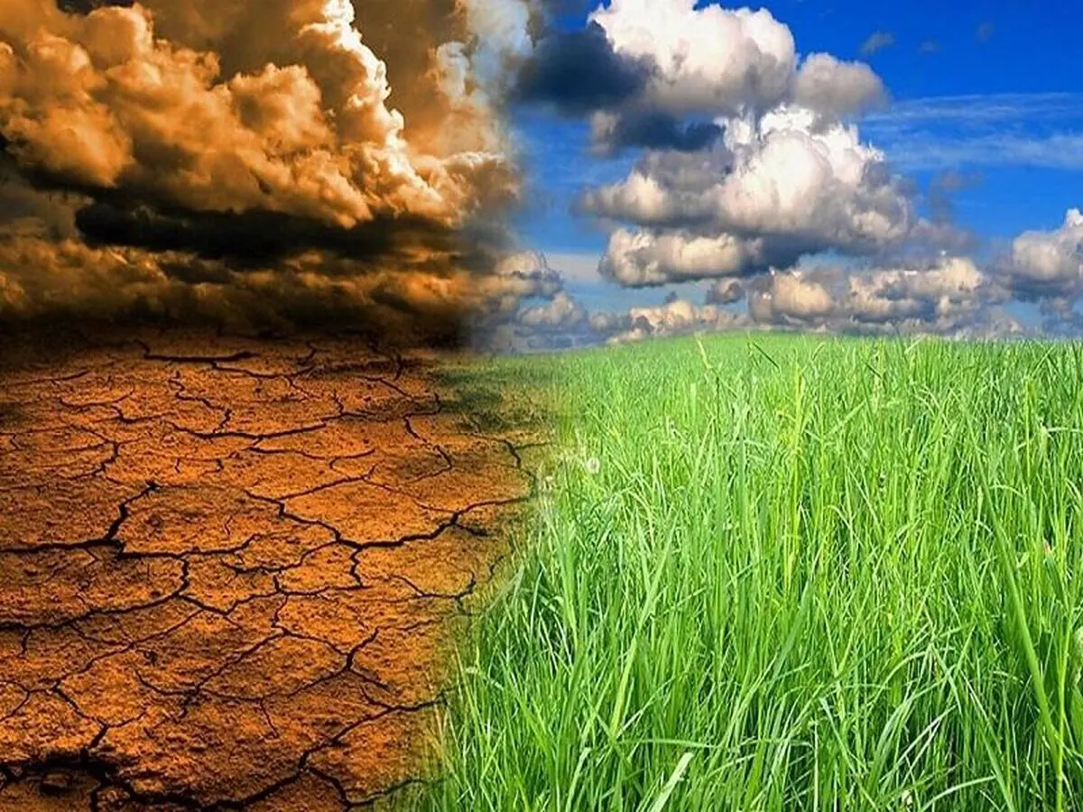 هشدار وقوع خشکسالی در 25 هزار هکتار از اراضی کشاورزی مازندران