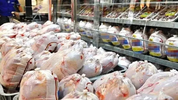 توزیع ۱۵۰ تن مرغ منجمد در گیلان