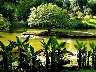 احداث باغ گیاه‌شناسی آموزشی در بهبهان بررسی می‌شود