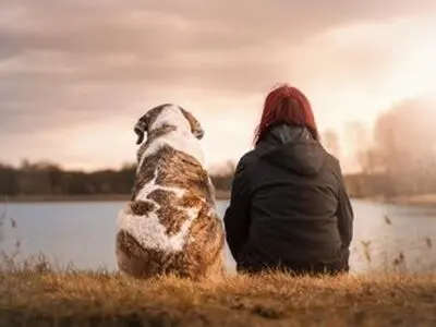 کدام کشورها گوشت سگ می‌خورند؟
