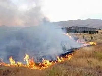 ۱۳ هکتار از مزارع گندم سرپل‌ذهاب در آتش سوخت