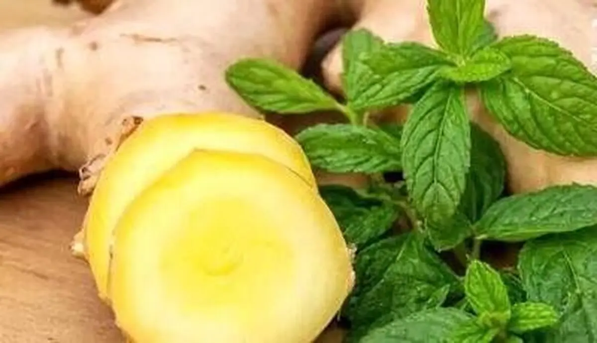 زنجبیل یا نعناع؛ کدام یک برای رفع حالت تهوع بهتر است؟