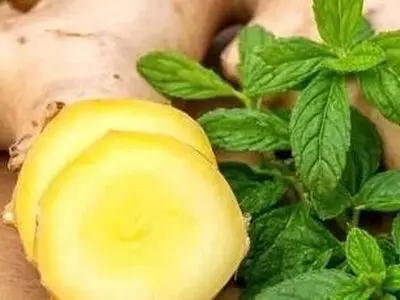 زنجبیل یا نعناع؛ کدام یک برای رفع حالت تهوع بهتر است؟