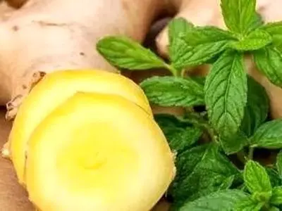 زنجبیل یا نعناع؛ کدام یک برای رفع حالت تهوع بهتر است؟