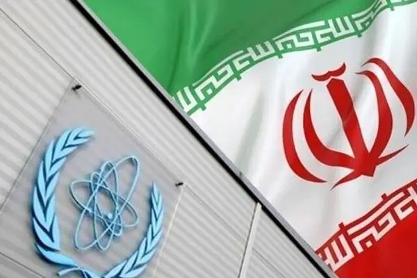 Iran should have maximum productivity from cooperation with IAEA: expert 