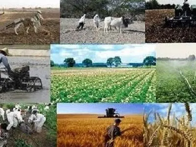 پرداخت تسهیلات به بیش از ۳ هزار و ۳۰۰ طرح روستایی و عشایری