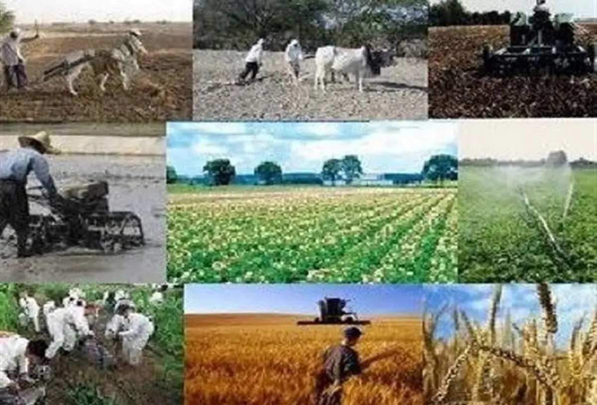 پرداخت تسهیلات به بیش از ۳ هزار و ۳۰۰ طرح روستایی و عشایری