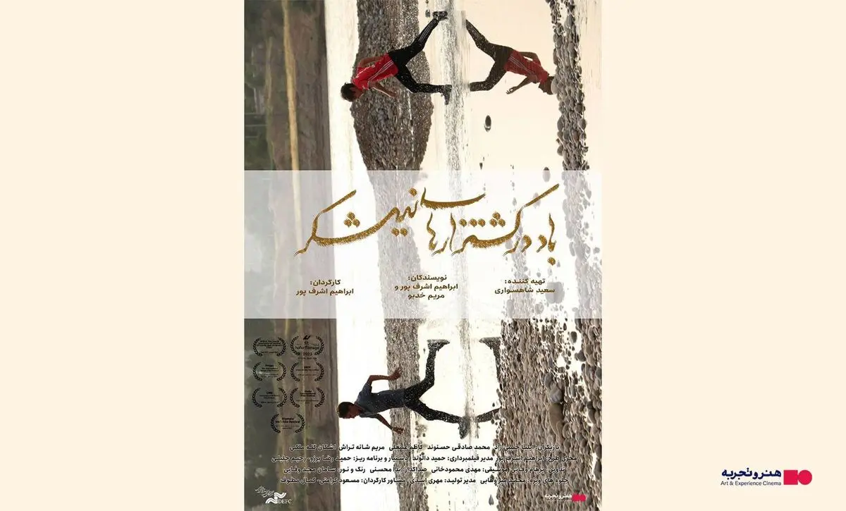 اکران فیلم «باد در کشتزارهای نیشکر» در هنرو تجربه از ۱۷ اردیبهشت