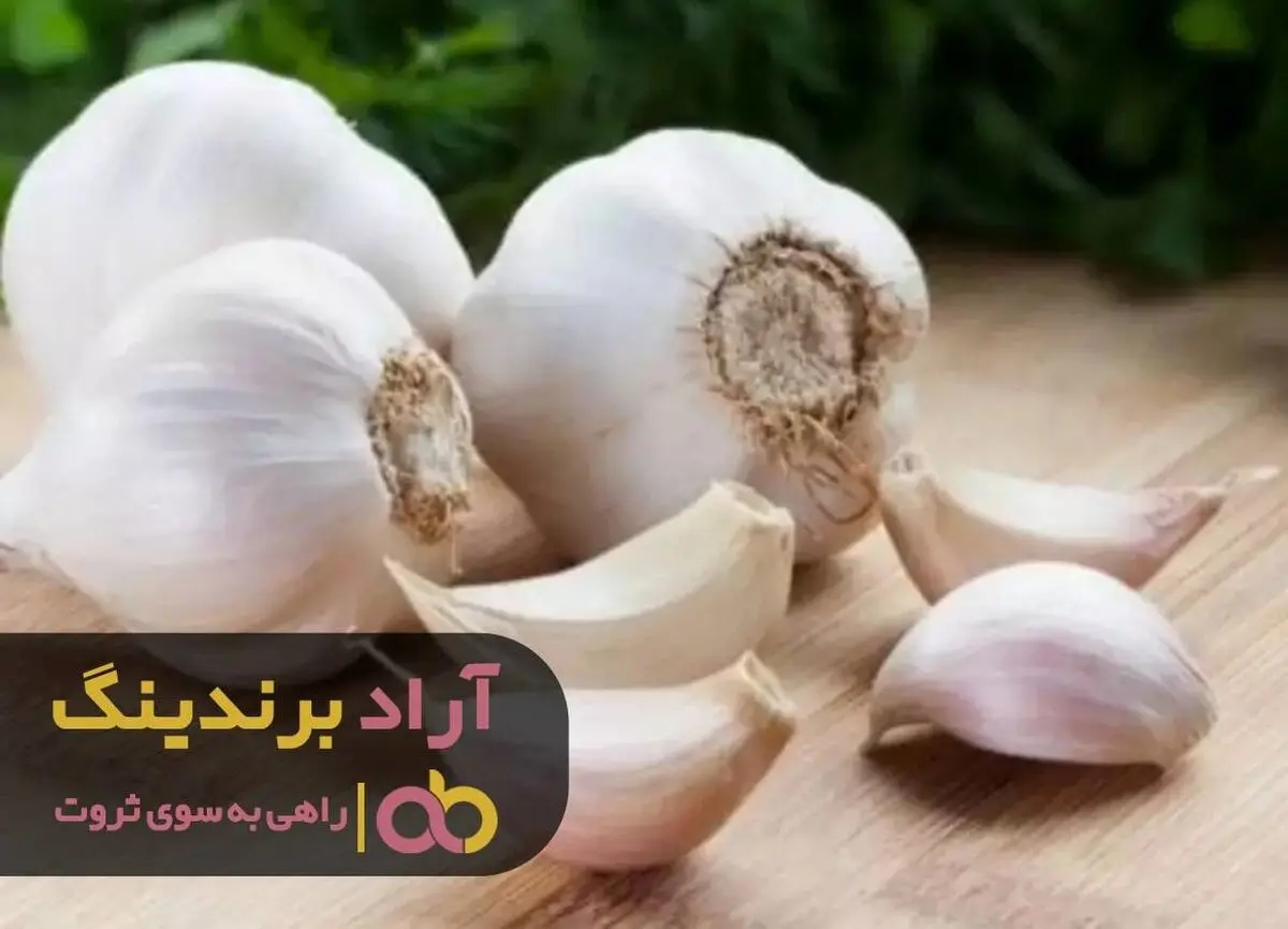 پرورش ناخودآگاه و تصمیم گیری های ثروتمند کننده